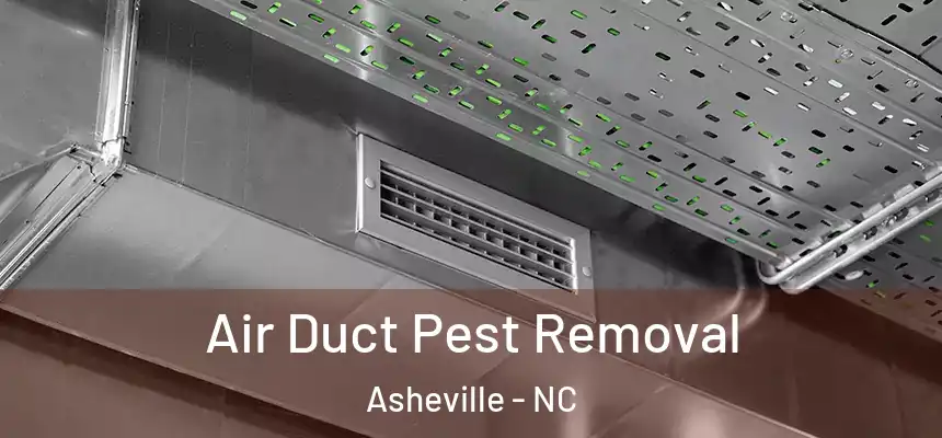 Air Duct Pest Removal Asheville - NC