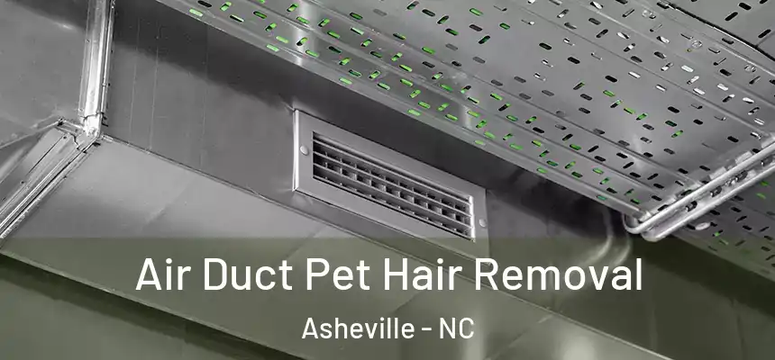 Air Duct Pet Hair Removal Asheville - NC