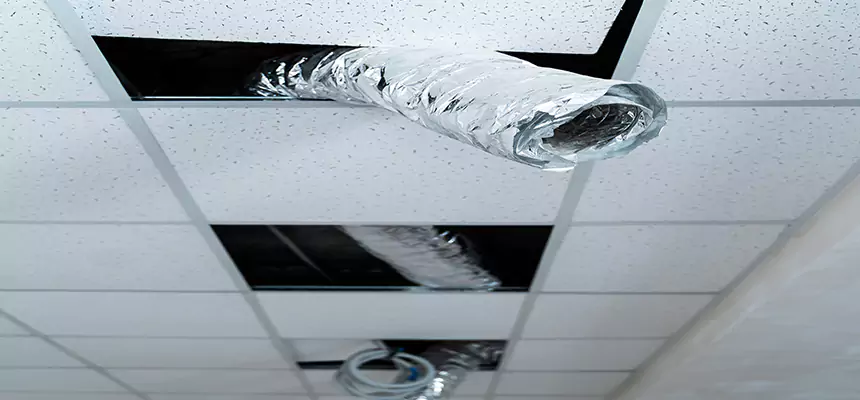 Our Air Duct Pet Hair Removal Services in Asheville, NC