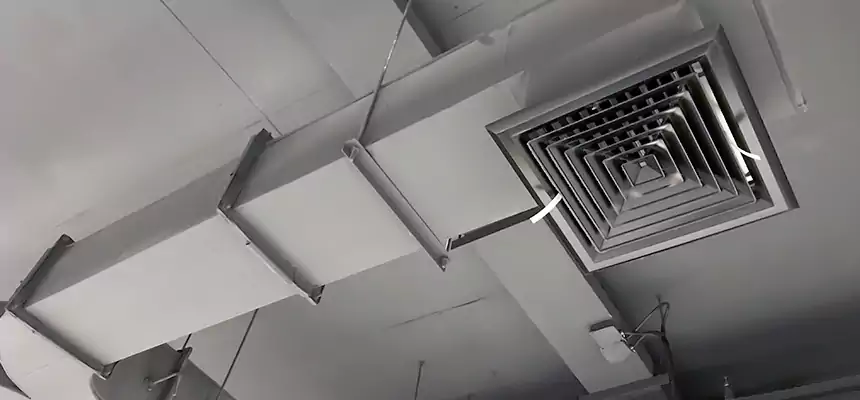 Restorative Allergy Relief Vent Cleaning – Coil, Blower & Housing Detail in Asheville