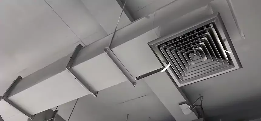 Our Pest Removal From Ducts Services in Asheville, NC