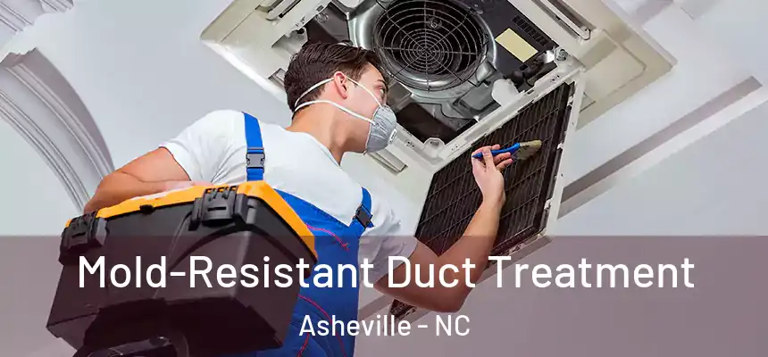  Mold-Resistant Duct Treatment Asheville - NC