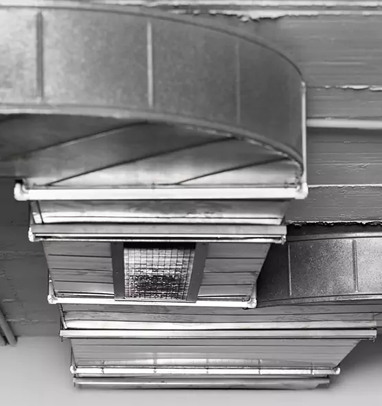 Professional Air Duct Pest Removal in Asheville, NC