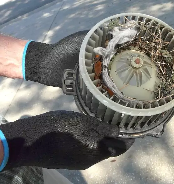 About Air Duct Rat Removal in Asheville, NC