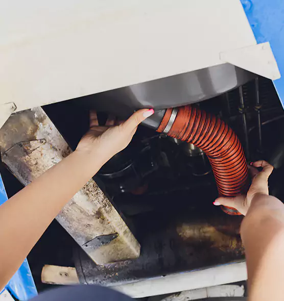 About Air Duct Virus Disinfection in Asheville, NC