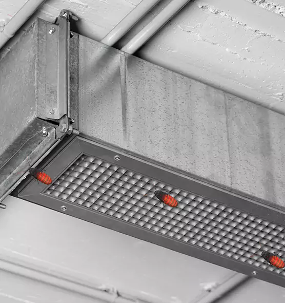 Affordable Insect Removal from Air Ducts in Asheville, NC