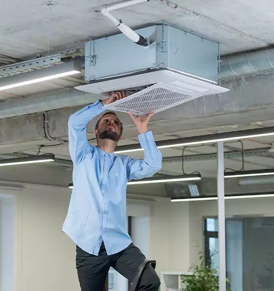 Advanced Rodent Droppings In Vents in Asheville, NC