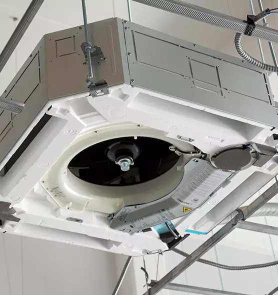 Professional Roof Vent Lint Removal Asheville, NC