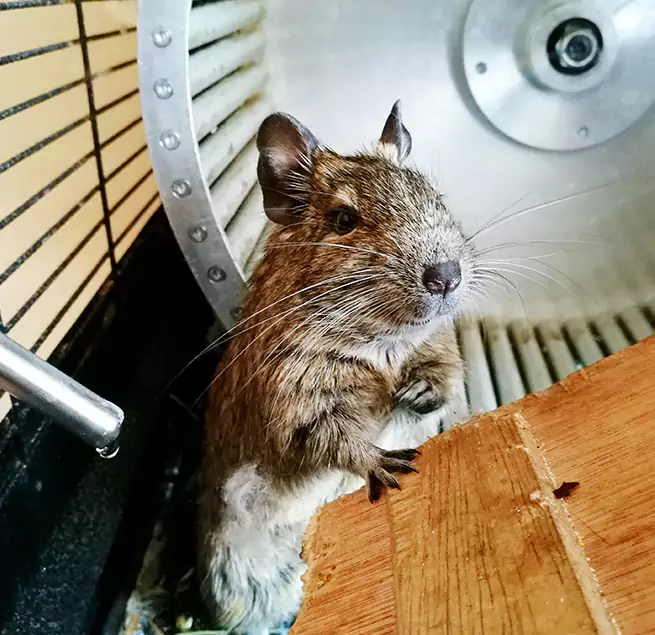 Why Homeowners & Businesses Trust Us Asheville, NC?