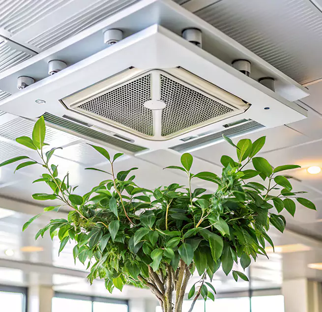 Why Homeowners & Businesses Trust Us in Asheville, NC?