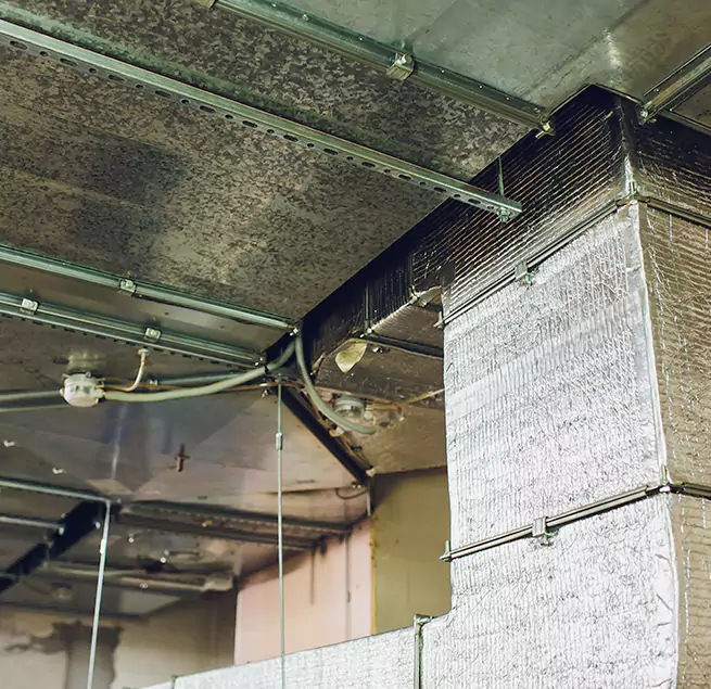 Why Homeowners & Businesses Trust Us in Asheville, NC?