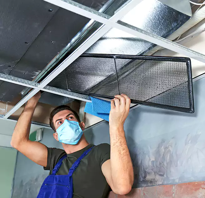 Why Homeowners Businesses Trust Us in Asheville, NC